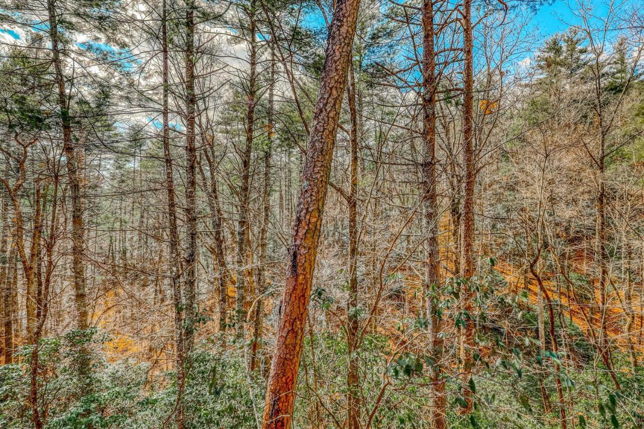 Etowah Villa Blue Ridge Eksteriør bilde